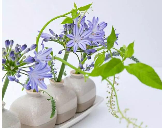 南寧花藝培訓：日常居家插花教程分享