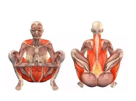 瑜伽動(dòng)作小課堂！