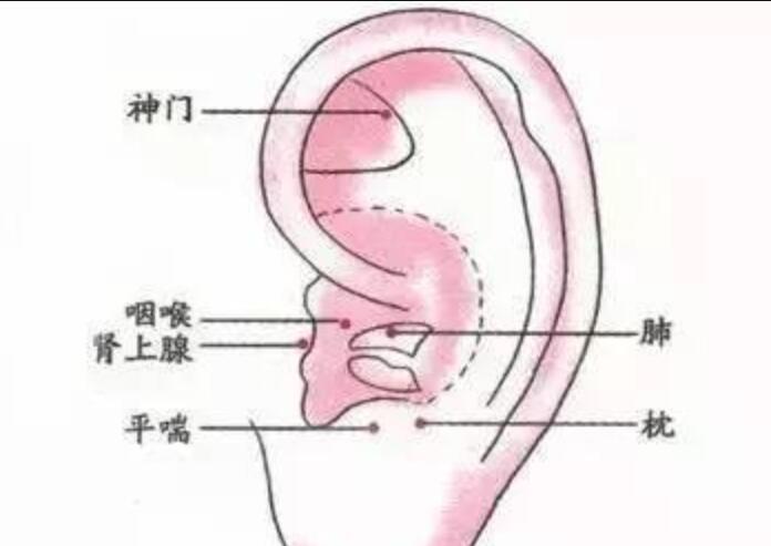 如何正確艾灸耳朵？南寧美容學(xué)校幫你整理教程