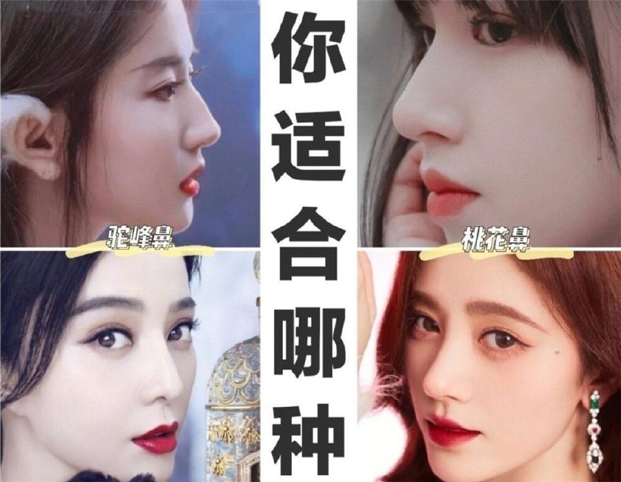 世界公認(rèn)好看的鼻形，你喜歡哪一款？