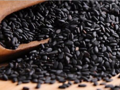 在家也能做的美發(fā)沙龍！