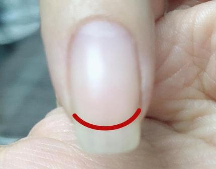 廣西美甲資訊：什么是扇形甲？