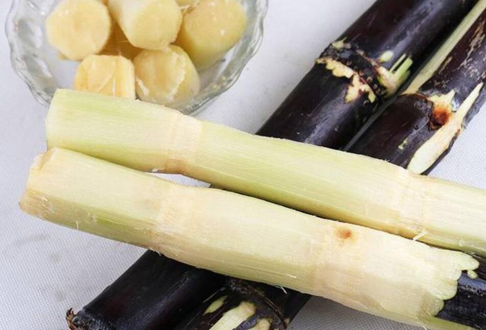 秋冬適合吃什么？南寧教美容養(yǎng)生的學(xué)校分享給你