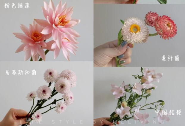 認(rèn)識(shí)常見花朵的名稱，廣西插花學(xué)?；ㄋ嚺嘤?xùn)基礎(chǔ)