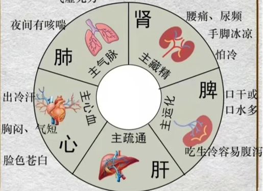 人體不同部位受寒的表現(xiàn)，廣西中醫(yī)美容培訓(xùn)分享