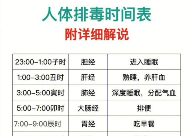 人體排毒時(shí)間表，南寧美容專業(yè)學(xué)校詳細(xì)解說(shuō)