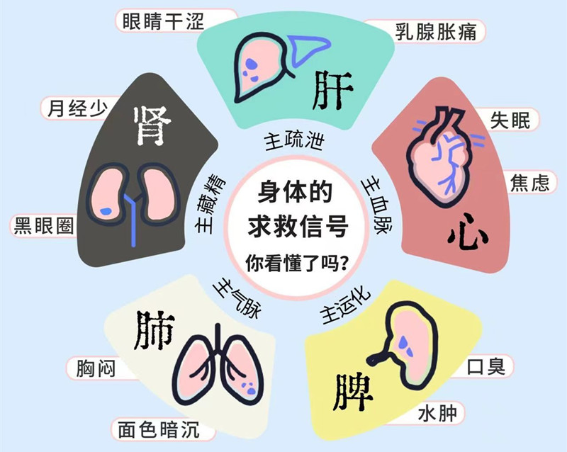 南寧專業(yè)美容管理學(xué)校：五臟六腑如何管理？