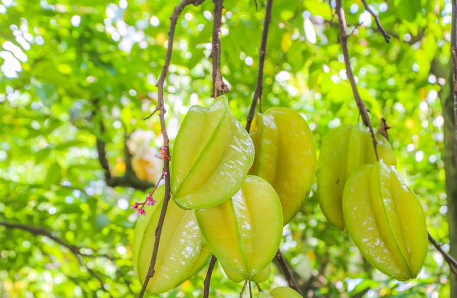 廣西美容護(hù)膚養(yǎng)顏班：春天吃什么水果好？