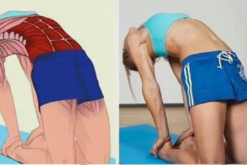 脖子前傾怎么辦？廣西美容美體學(xué)習(xí)