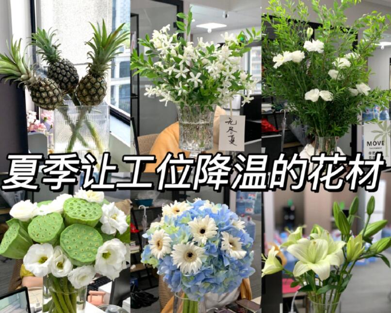 自帶降溫效果的花材，廣西學(xué)鮮花技術(shù)