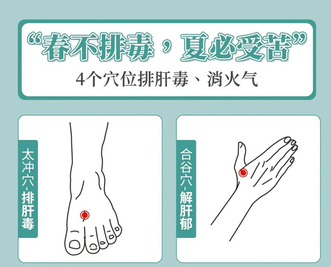 南寧美容健康管理：春季如何養(yǎng)生？