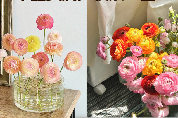 小眾但花語很美的花卉，南寧鮮花知識(shí)培訓(xùn)