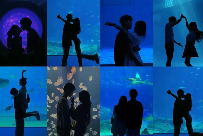 在海洋館怎么拍照？廣西人物形象設(shè)計(jì)專業(yè)支招
