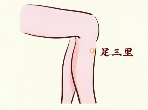 日常養(yǎng)脾胃的小技巧 | 南寧教美容美體哪里專業(yè)