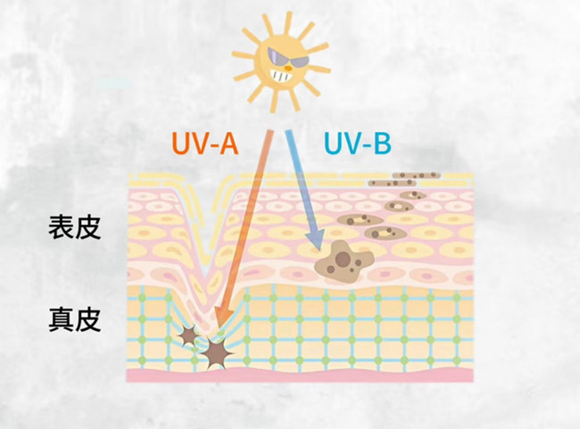 物理防曬和化學(xué)防曬怎么選？廣西皮膚管理美容